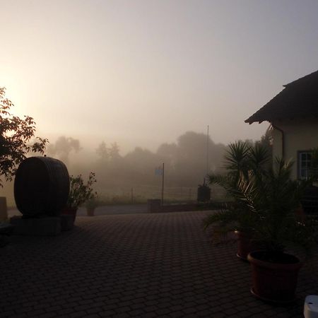 Weingut Hans Bausch Daire Hattenheim Dış mekan fotoğraf