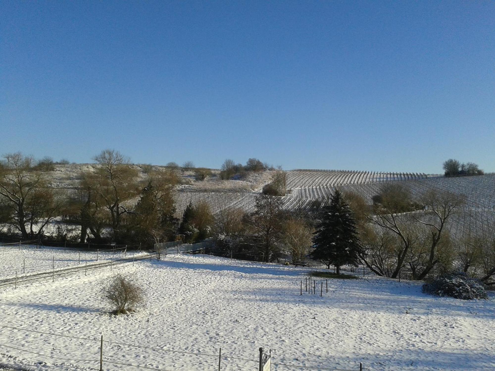 Weingut Hans Bausch Daire Hattenheim Dış mekan fotoğraf